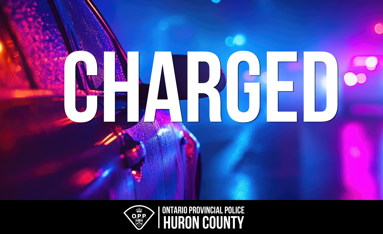 Pair Charged Following Break-In In Huron Park