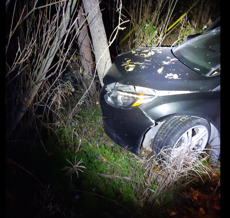 Teen Charged After Single Vehicle Collision Near Owen Sound