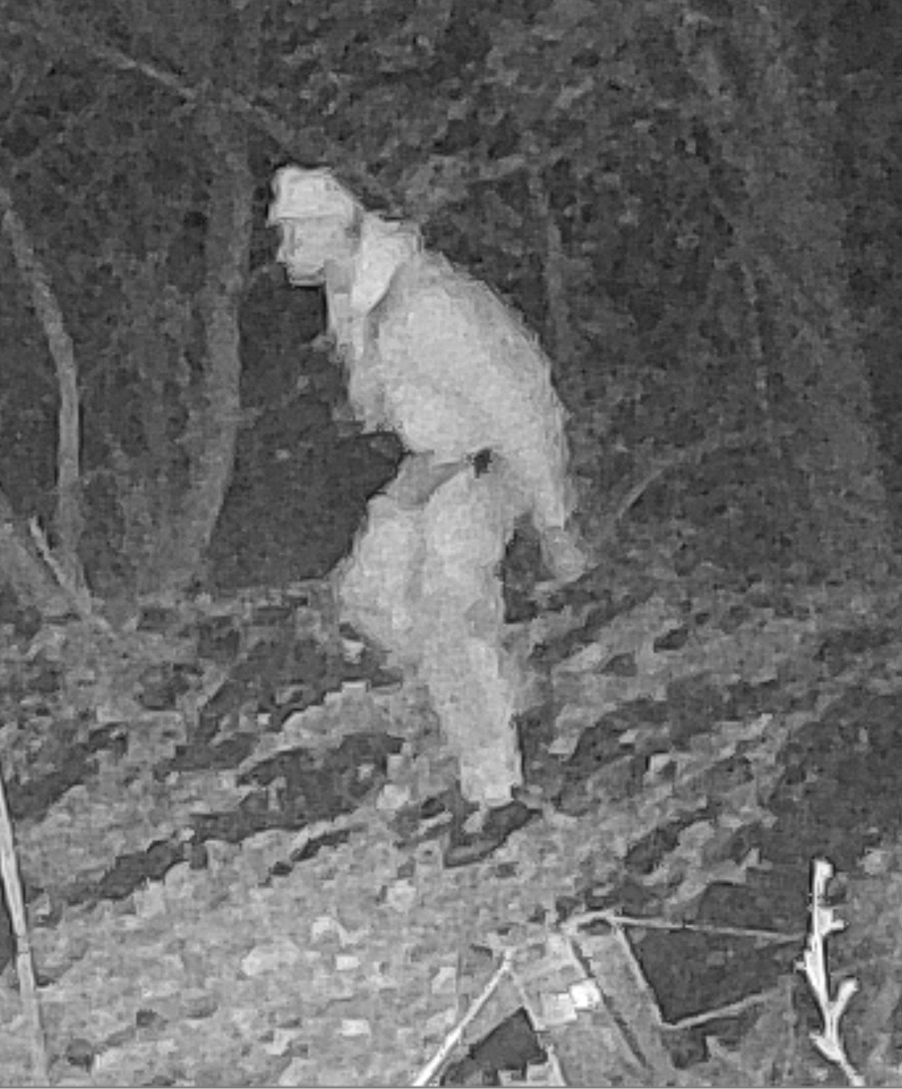 LOCAL BUSINESS SUSTAINS LOSS DUE TO THEFT - POLICE ASKING FOR THE PUBLIC'S HELP