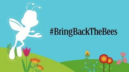 Bring Back The Bees!