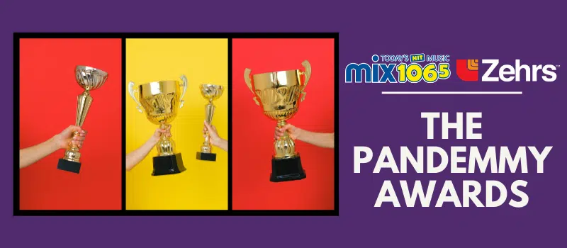 The Pandemmy Awards