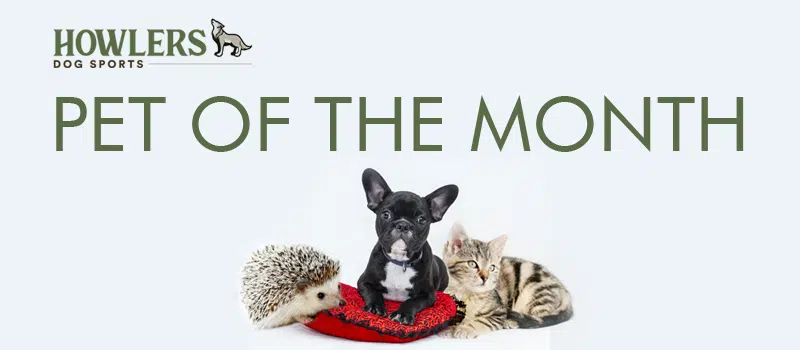 Sammy is our "Pet Of The Month" for March!