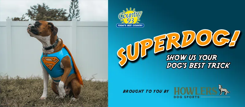 Superdog