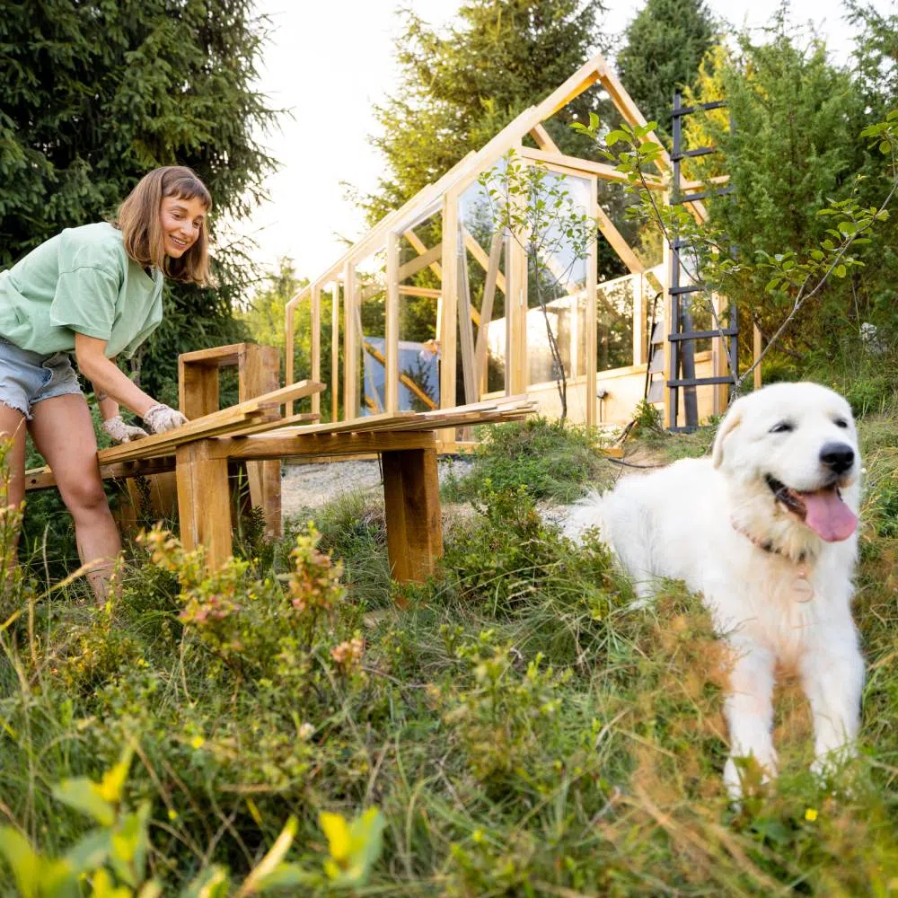 A Brief Guide to Building a Greenhouse on a Budget