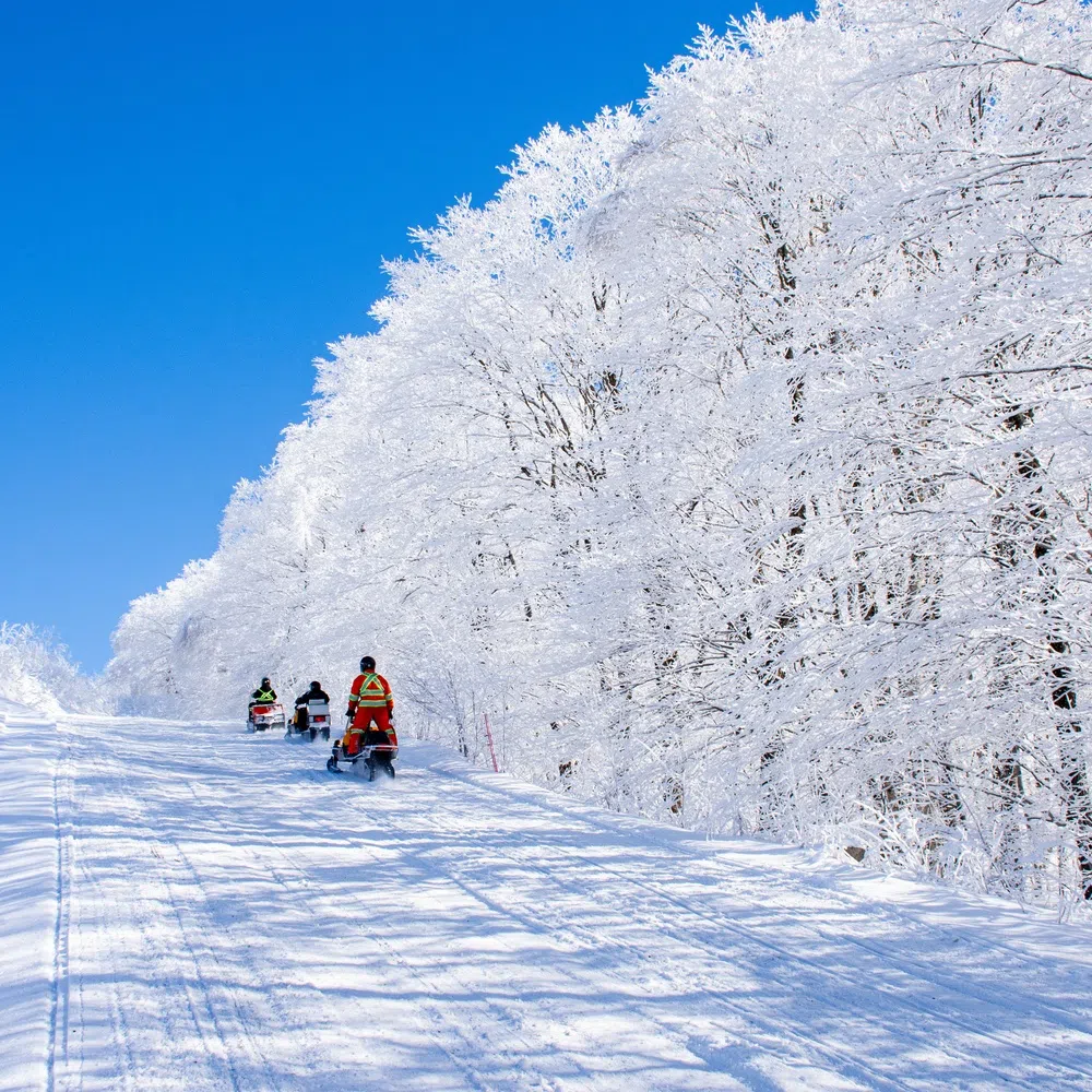 The Beginner's Guide to Snowmobiling the Canadian Wilderness