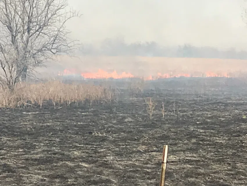 EFD battles four grass fires Tuesday, including two at one address