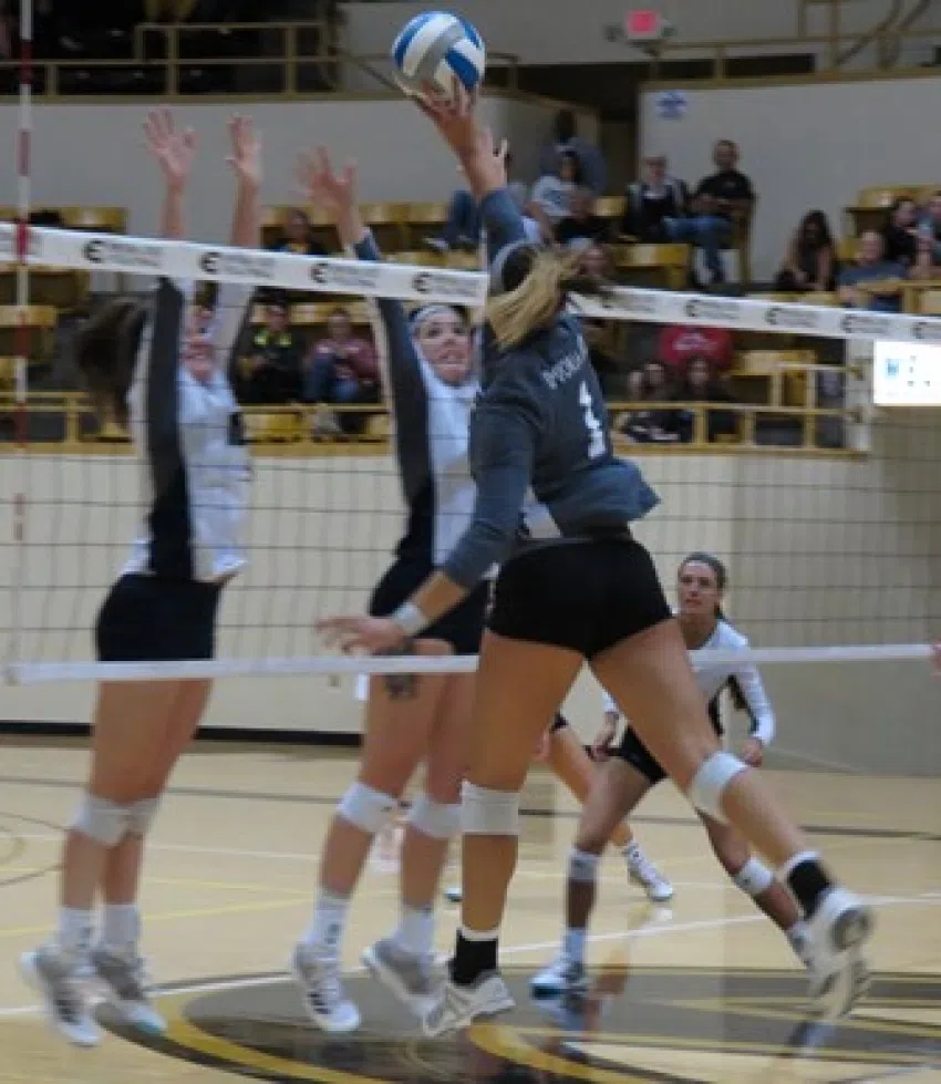 Emporia State volleyball to begin practice Monday