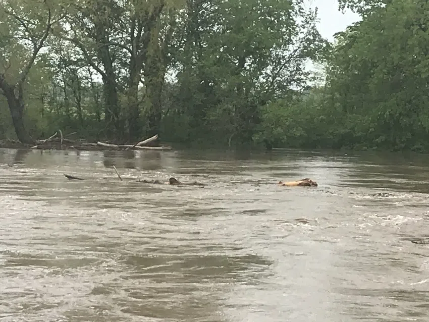 UPDATE: Area flood warnings come to an end as river levels drop below flood stages Saturday