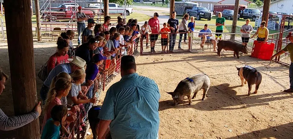 Chase County Fair poised for a big centennial celebration