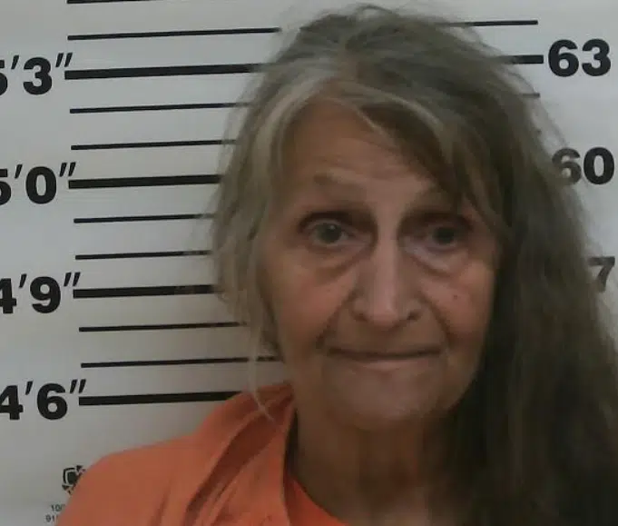 Topeka woman facing potential drug charges following vehicle fire in Osage County Thursday