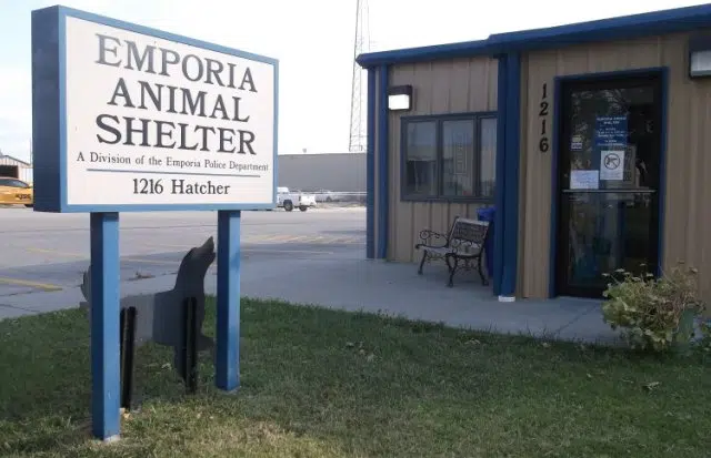 New hires signal restructuring effort at Emporia Animal Shelter