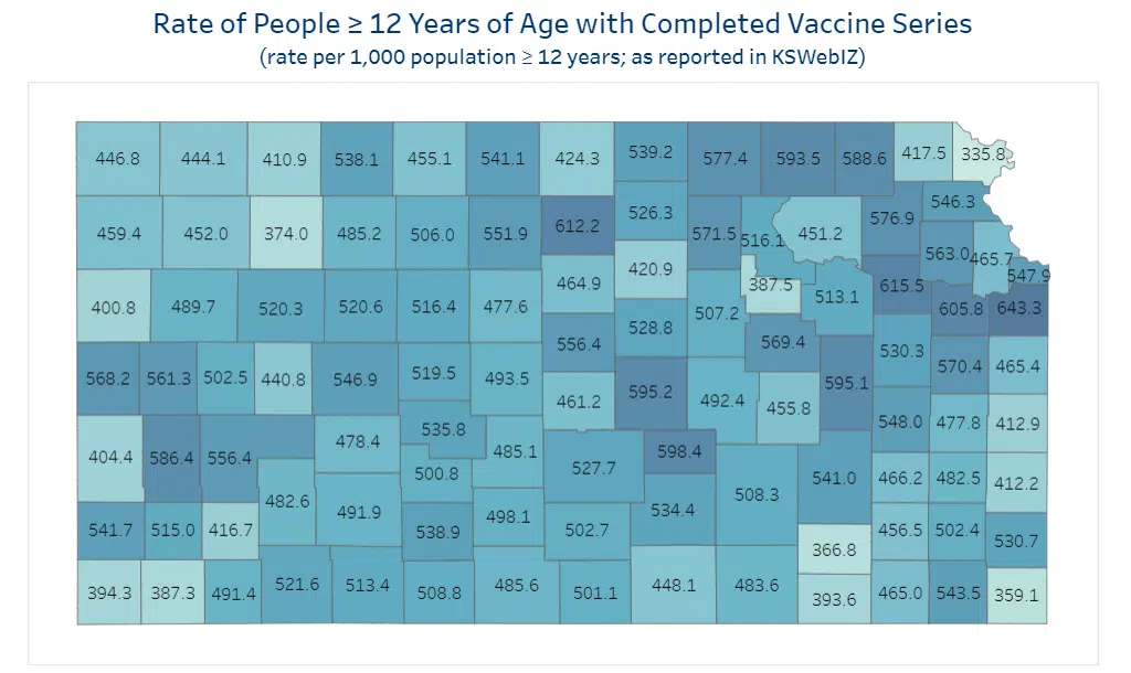 CORONAVIRUS: Lyon County Public Health worried about slow increase in vaccination percentages