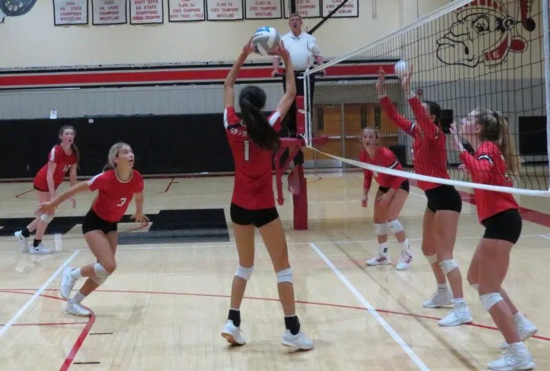 Emporia High volleyball team to host Sub-State tournament