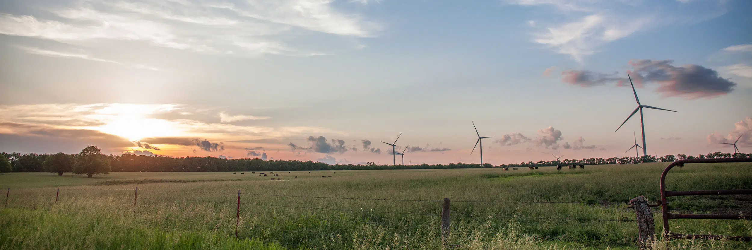 EDP Renewables celebrates fifth anniversary of Waverly Wind Farm
