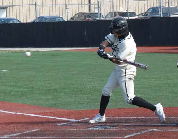 Emporia State baseball splits with Metro State