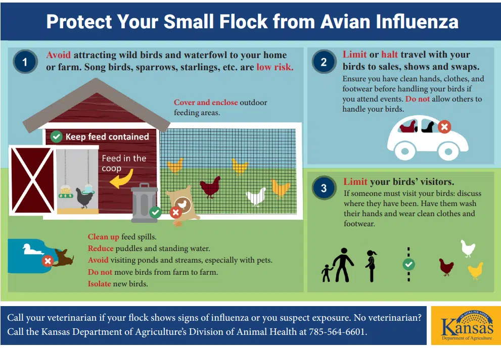 Local experts discuss preventative measures with avian flu now confirmed in Kansas