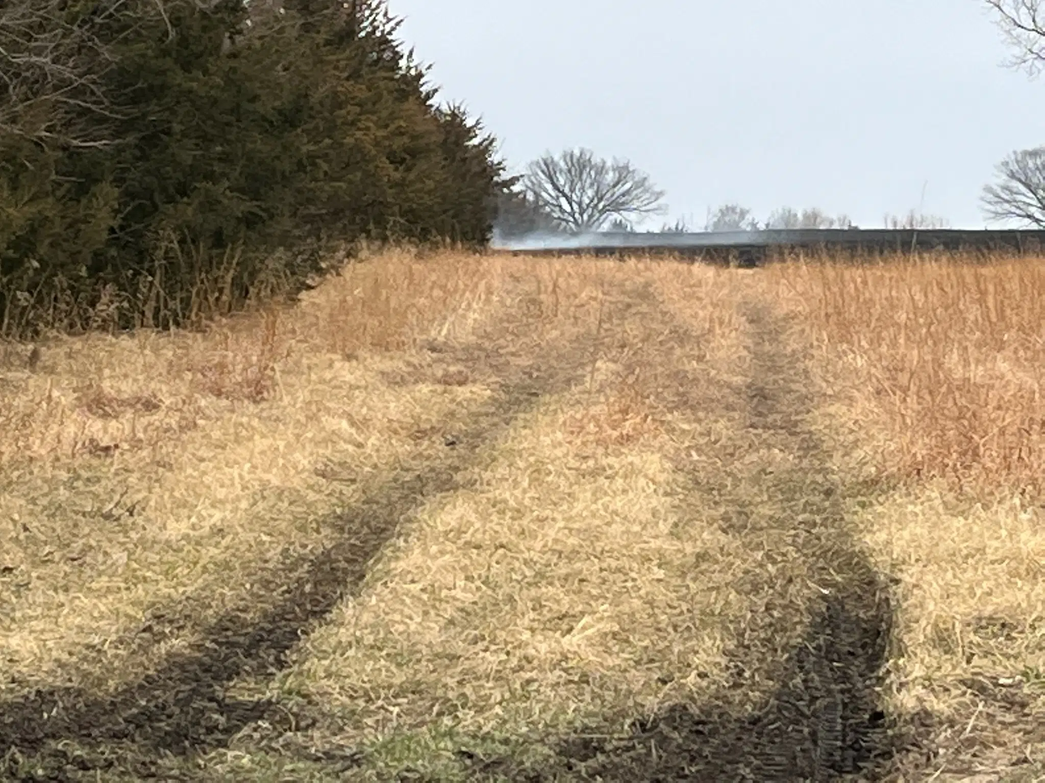 Grass fire near Olpe encroaches upon several homes before being doused