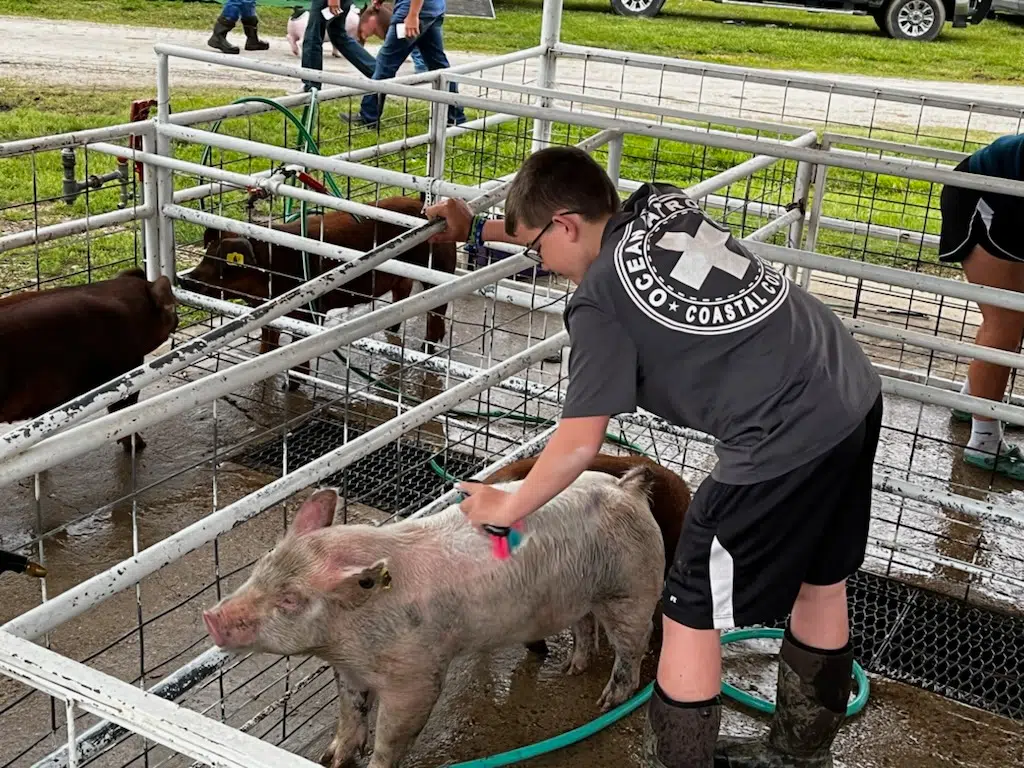 Close to 400 children come to Emporia for Gary Fuller Spring Classic show event