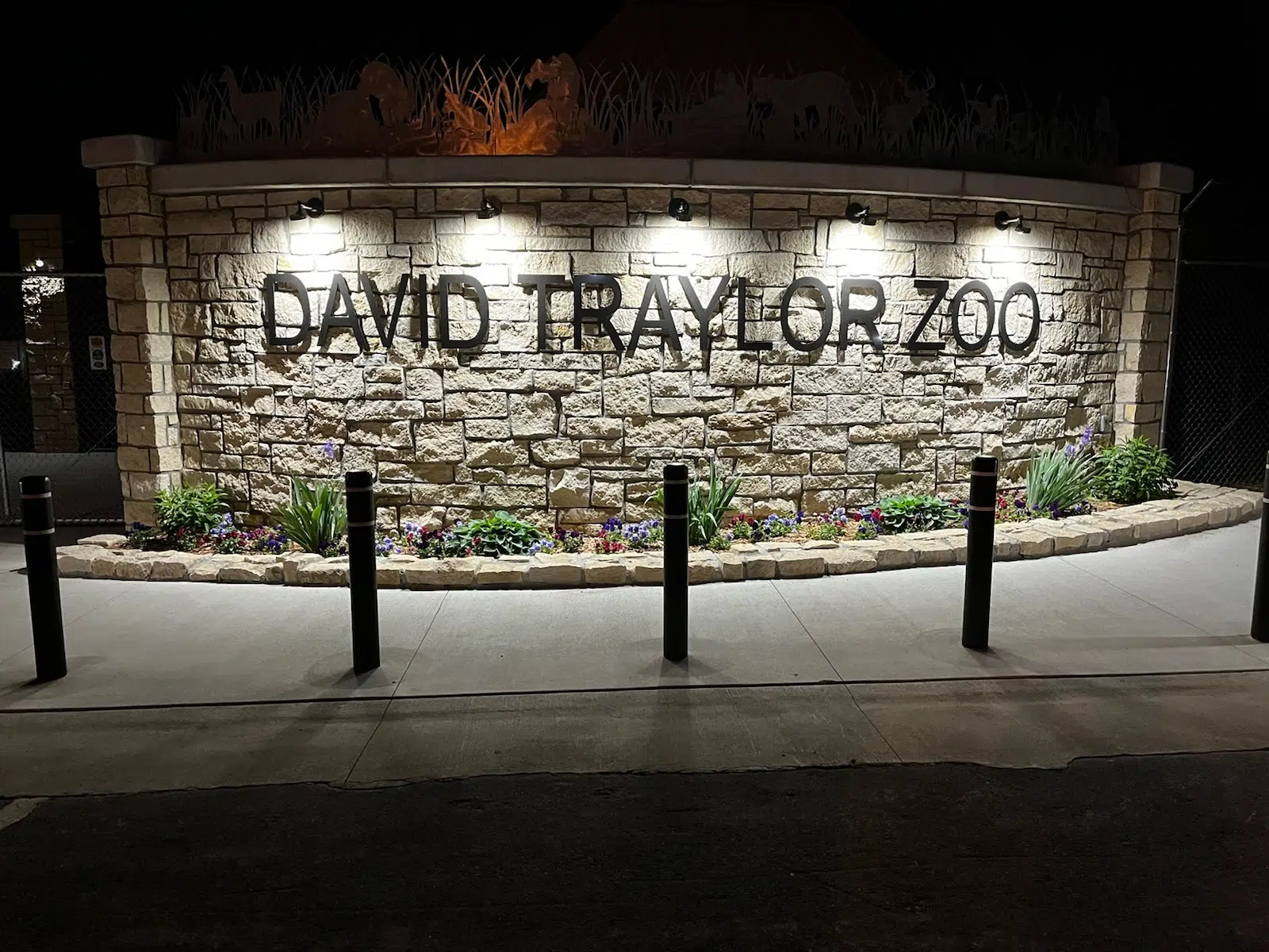 Bison calf at David Traylor Zoo dies shortly after birth