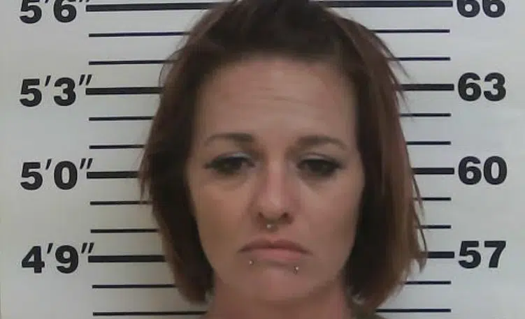 Michigan woman arrested on suspicion of drug distribution in Osage County