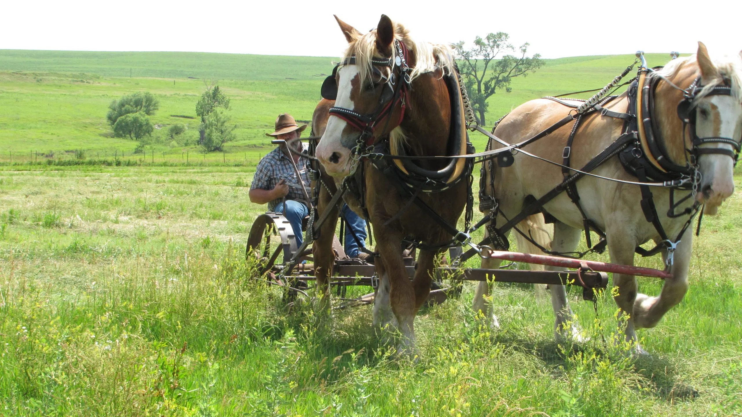 Tallgrass Prairie National Preserve holding haying history event Saturday