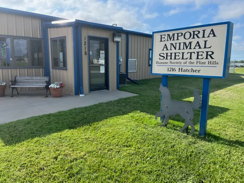 'Always a level of:' Emporia Animal Shelter using adoption discount as spaces remain at premium