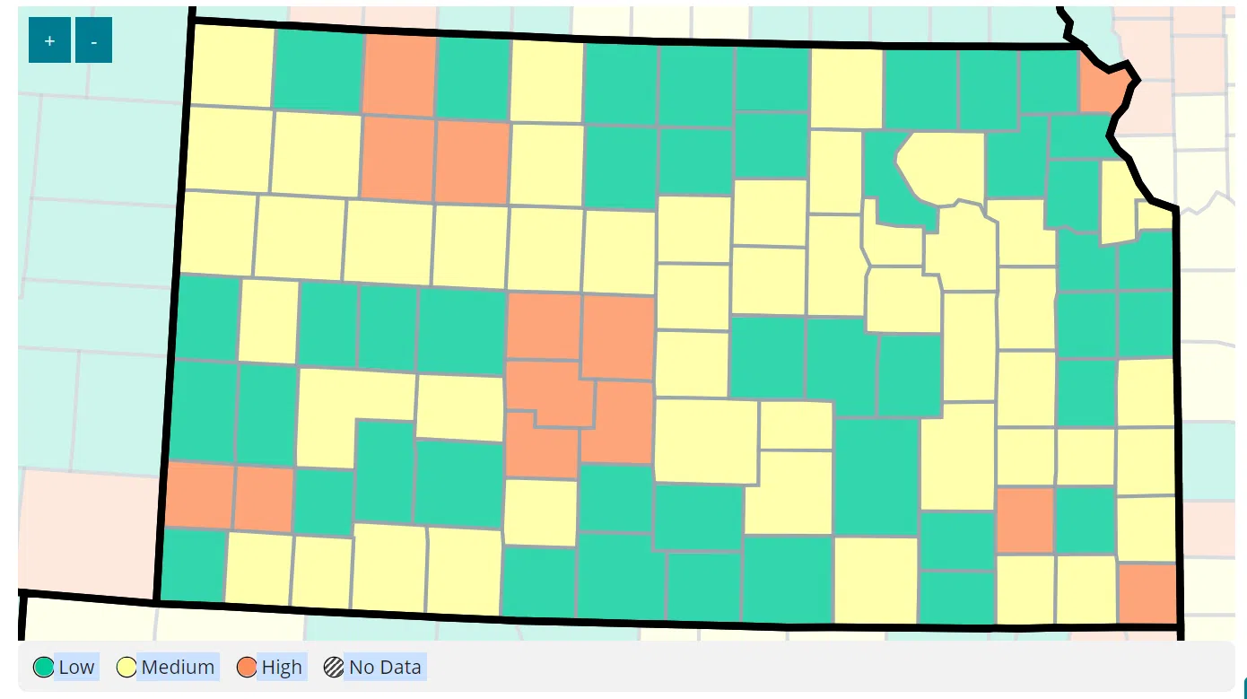 Lyon County's COVID stats holding largely steady over past four weeks