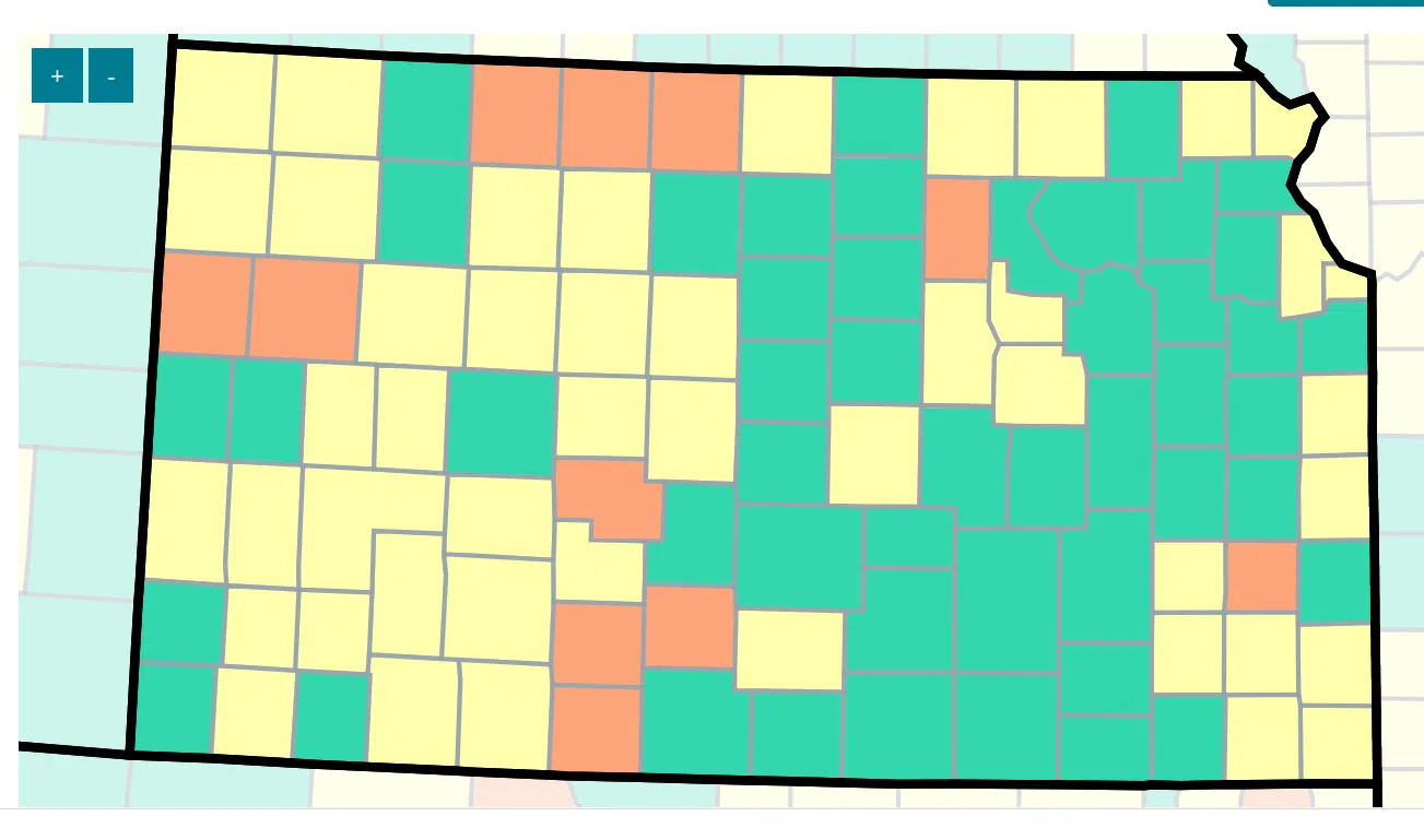 COVID-19 deaths up, transmission levels down in Lyon County