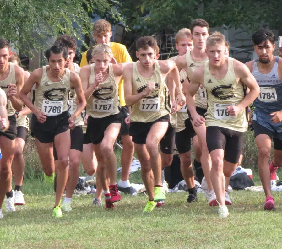 Emporia State cross country team to race at regionals