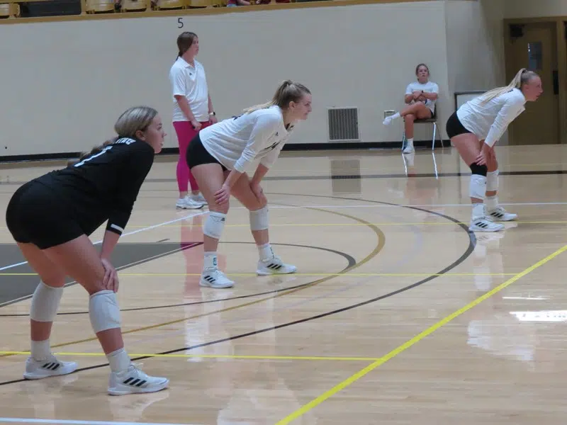 Emporia State volleyball loses at Newman in 4 sets