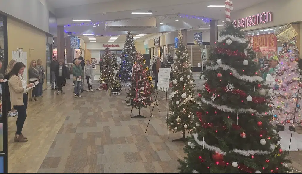 Festival of Trees comes to close for Big Brothers Big Sisters Serving Lyon County