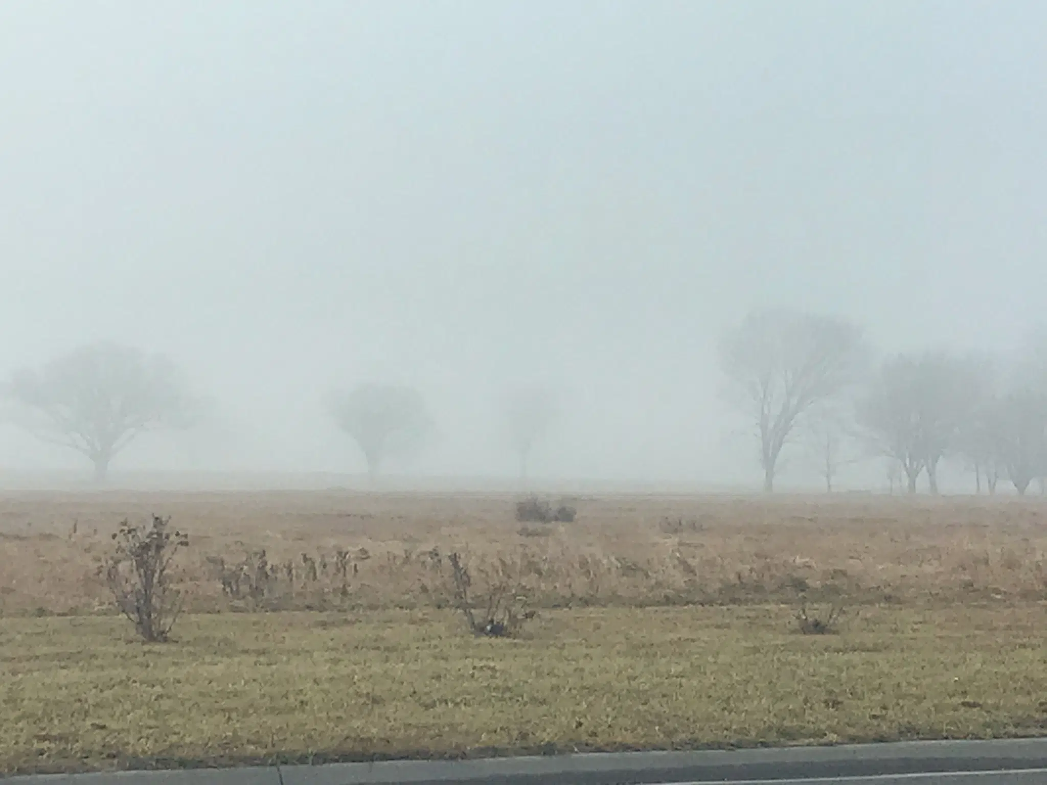 WEATHER: Dense fog advisory until 10 am for Greenwood County