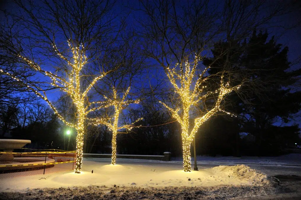 Ace it Up tree lighting ceremony returns for the fourth year in Emporia