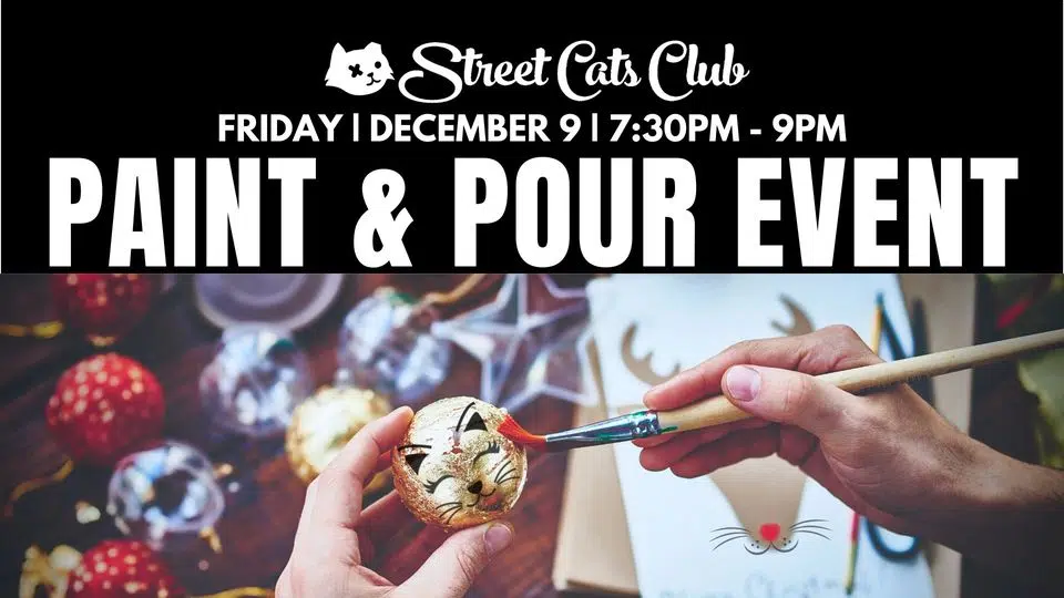 Street Cats Club is hosting a Christmas event for all the cat lovers