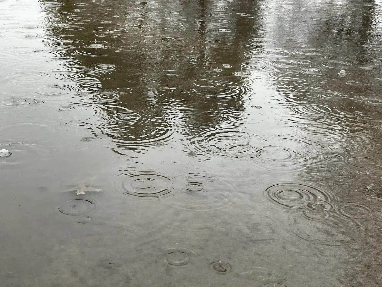 WEATHER: Light to moderate rain, no severe weather from Sunday-Monday activity