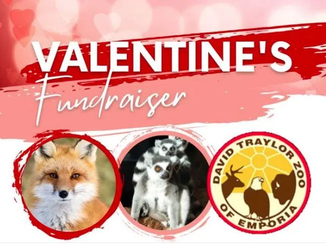 David Traylor Zoo in the midst of lovable Valentine's Day themed fundraiser