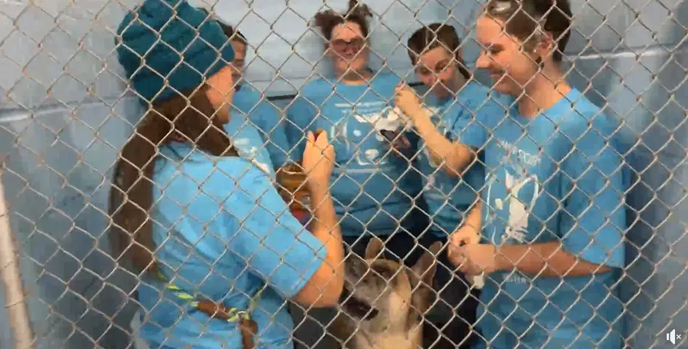 Jordan's Way Tour brings energetic emphasis on Emporia Animal Shelter dogs, staff and volunteers