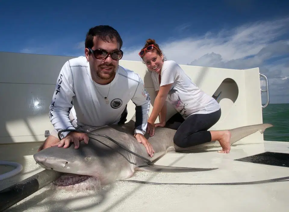 Noted shark expert coming to Emporia State on Friday evening