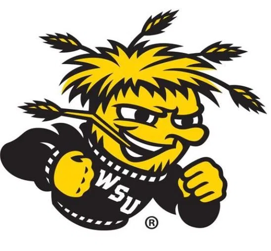 Shocker Softball Blasted in AAC Title Game