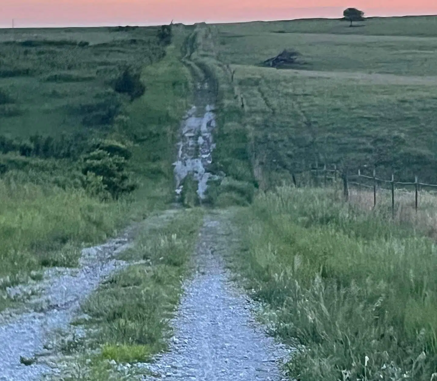 First-ever Flint Hills Ultra Gravel Ride a success across the board, lead organizer says