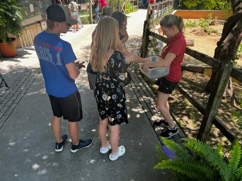 Residents take advantage of opportunity to see David Traylor Zoo in during EFOZ Open House