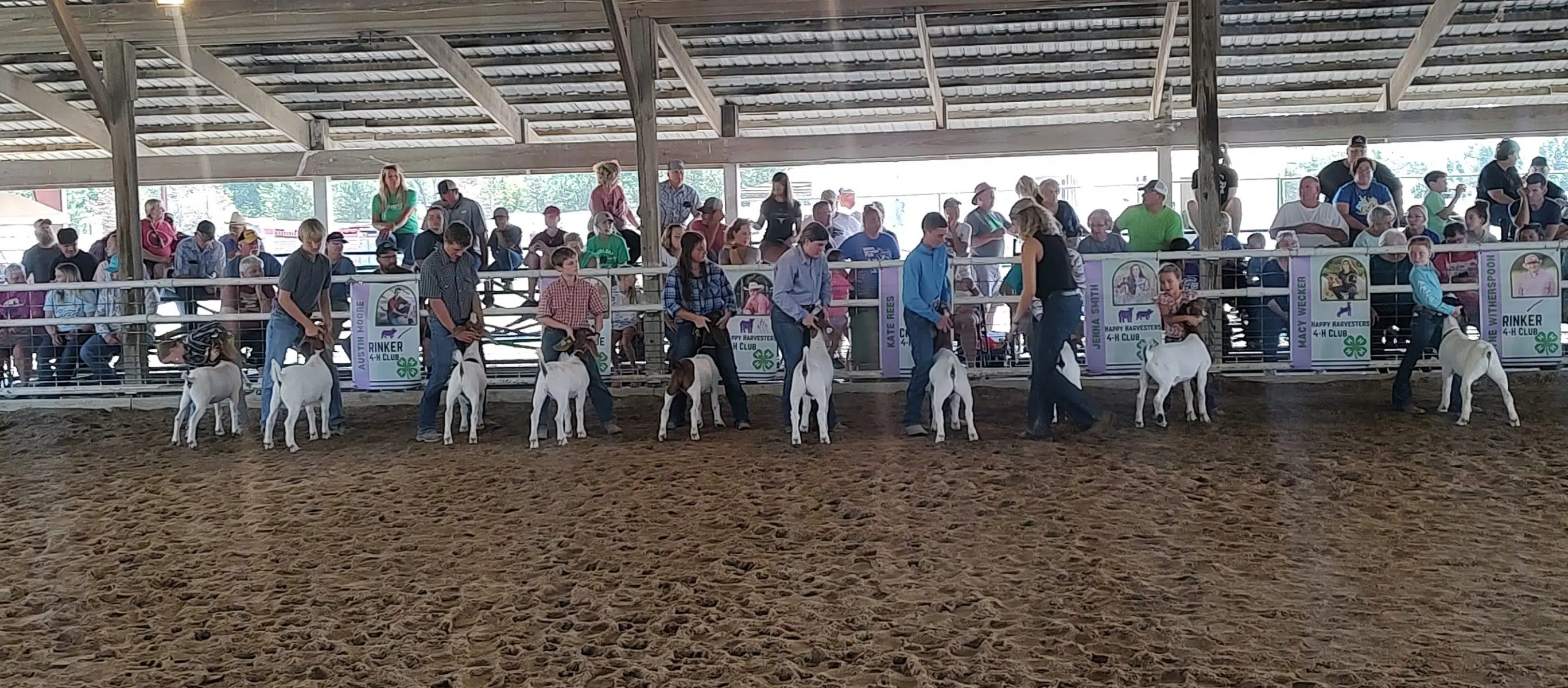 2023 LYON COUNTY FAIR: Sheep and Meat Goats, Aug 5