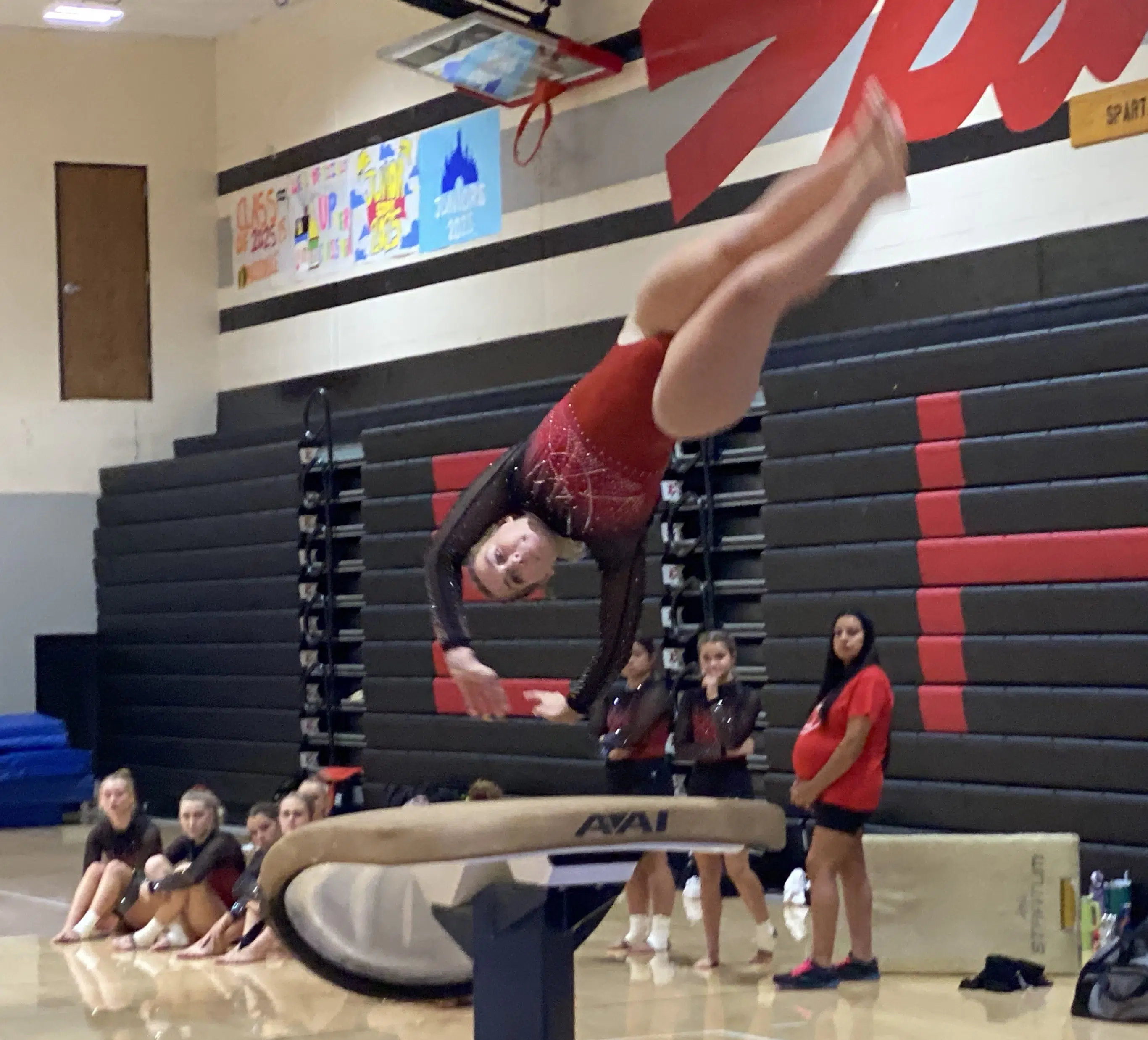 Emporia High senior Laney Cooper ready for state gymnastics