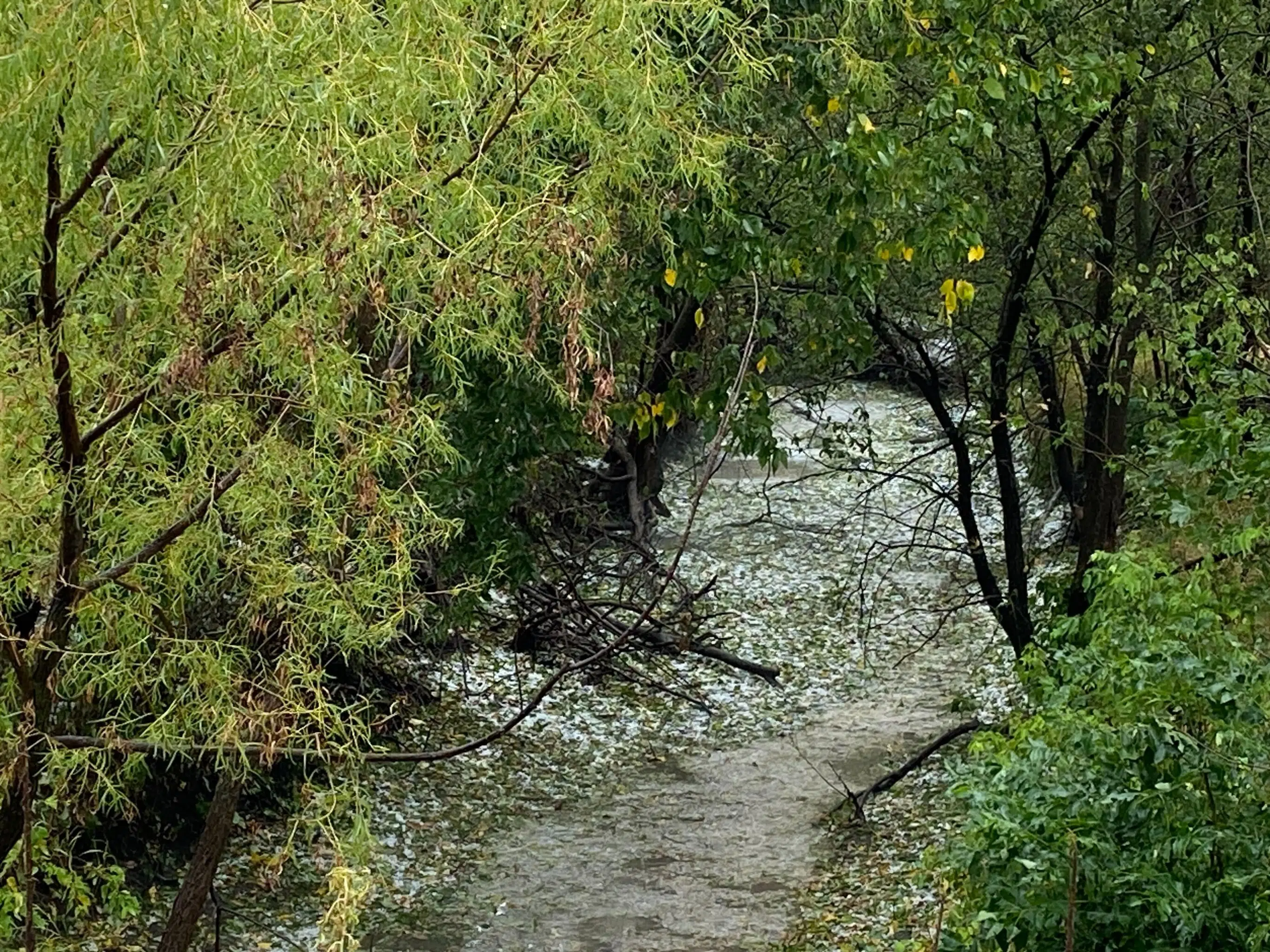 WEATHER: Pockets of heavy rainfall, large hail develop from Thursday storms