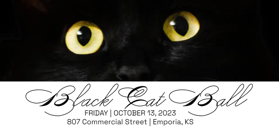 First-ever Black Cat Ball looms for Street Cats Club