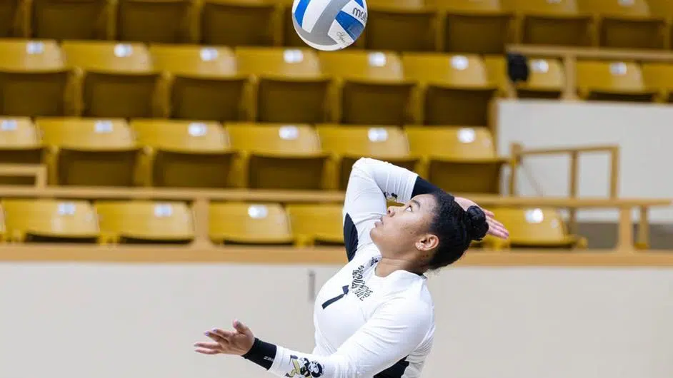 Lady Hornet Volleyball Tames Tigers; Sasaki Terminates 32 Kills