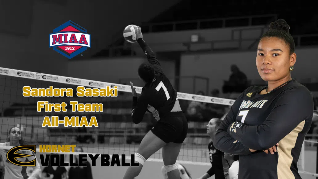 Sasaki Named First Team All-MIAA;  Bogle Honorable Mention