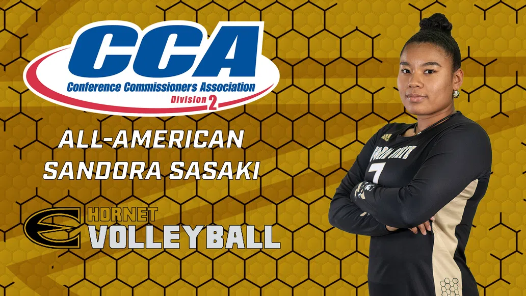 Sasaki Named D2CCA All-American