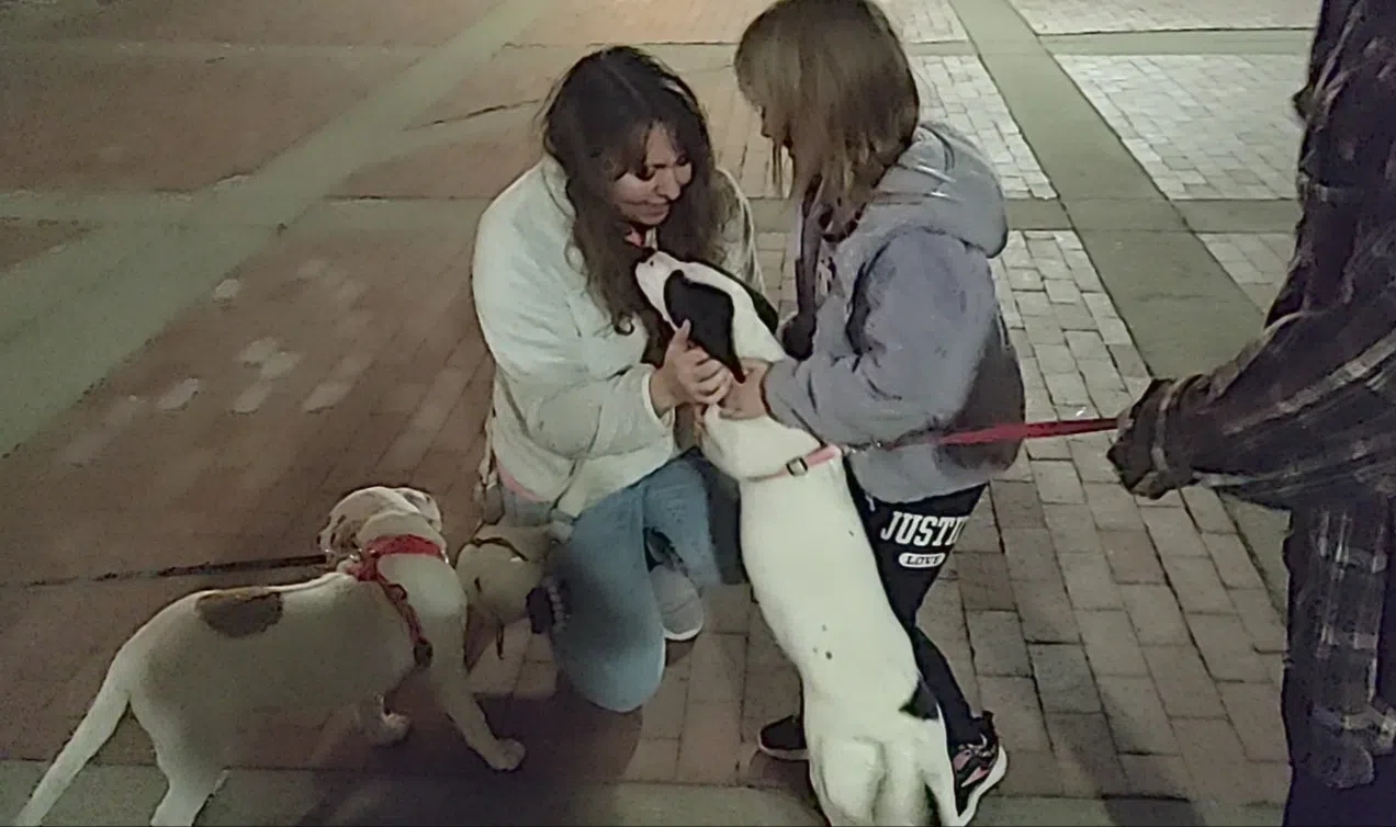 Humane Society brings their four legged friends to greet concert goers at Albert Taylor Hall Tuesday night