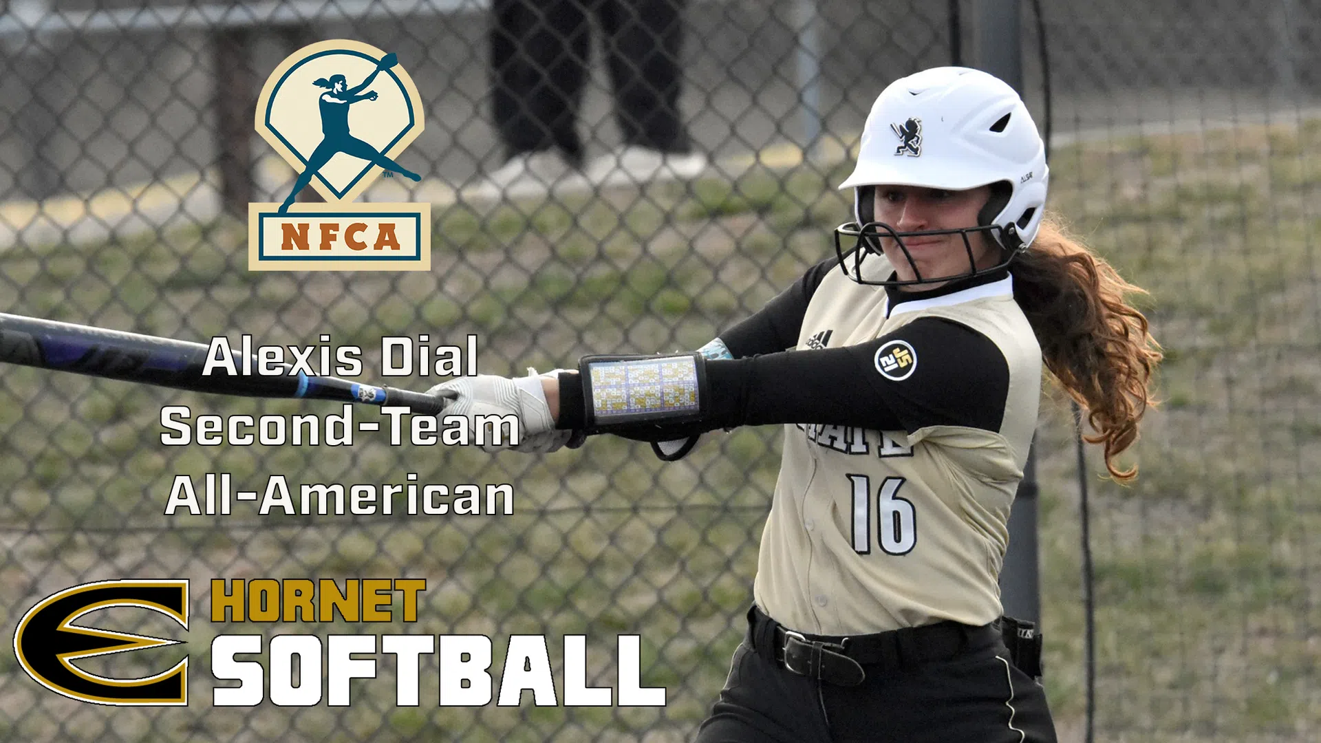 Dial Adds All-American Status to Award Haul